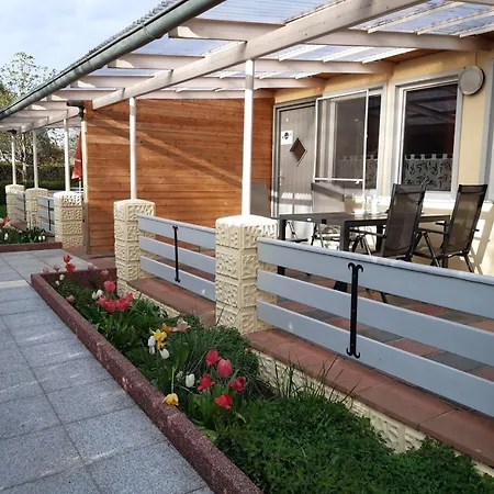 Saturn Im Sternenpark